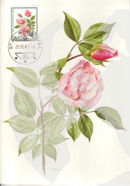 CH MC 1236 / 1240 ● - 1982